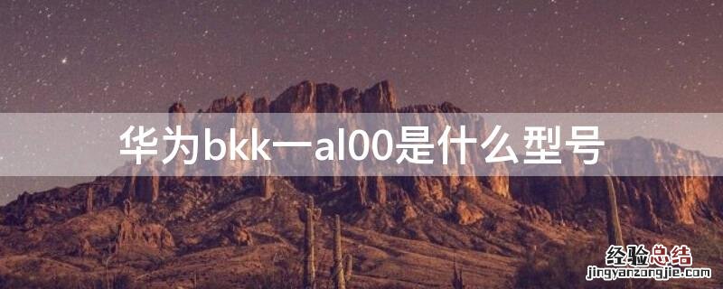 华为bkk一al00是什么型号 华为bkk一al00是什么型号图片