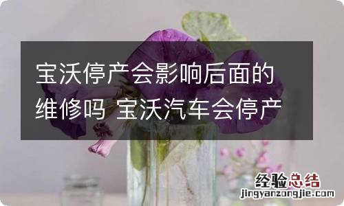 宝沃停产会影响后面的维修吗 宝沃汽车会停产吗