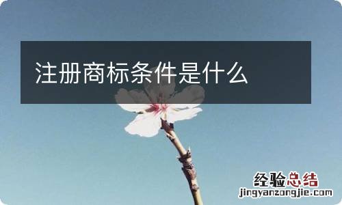 注册商标条件是什么