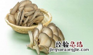 蘑菇可以放冰箱冷藏吗 蘑菇能不能放冰箱里面保鲜