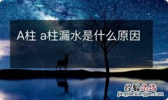 A柱 a柱漏水是什么原因