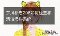 东风标志206如何检查和清洁燃料系统