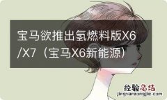 宝马X6新能源 宝马欲推出氢燃料版X6/X7