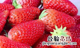 草莓什么时候上市 什么草莓口感好