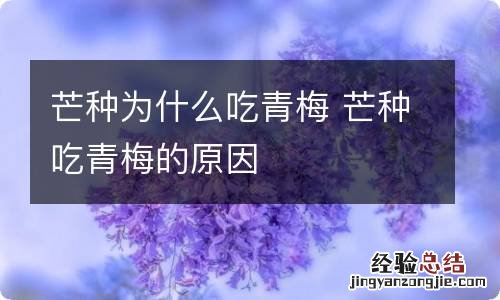 芒种为什么吃青梅 芒种吃青梅的原因