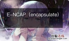 encapsulate E-NCAP