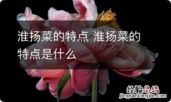 淮扬菜的特点 淮扬菜的特点是什么