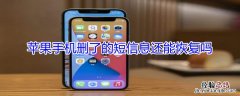 iPhone手机删了的短信息还能恢复吗