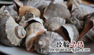 海螺如何保鲜 新鲜海螺保存技巧