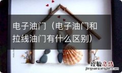 电子油门和拉线油门有什么区别 电子油门