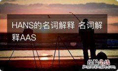 HANS的名词解释 名词解释AAS