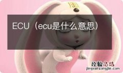 ecu是什么意思 ECU