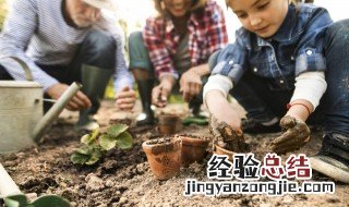 茑萝四季开花吗 茑萝的四季养殖护要点