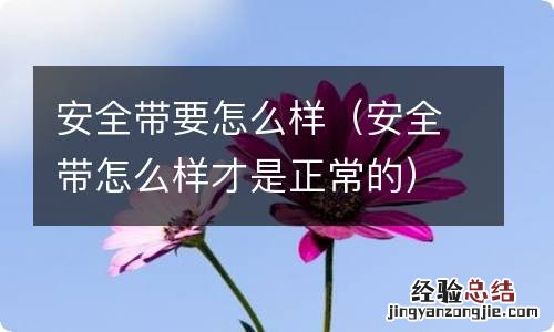 安全带怎么样才是正常的 安全带要怎么样