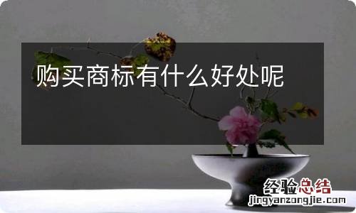 购买商标有什么好处呢