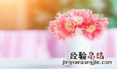 鲜花保存小技巧 鲜花保存小技巧视频