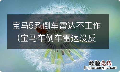 宝马车倒车雷达没反应 宝马5系倒车雷达不工作