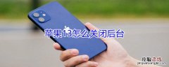 iPhone13怎么关闭后台