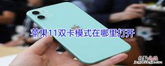 iPhone11双卡模式在哪里打开