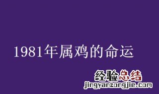 1981年属鸡的是什么命 1981年属鸡的是什么命缺什么