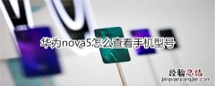 华为nova5怎么查看手机型号