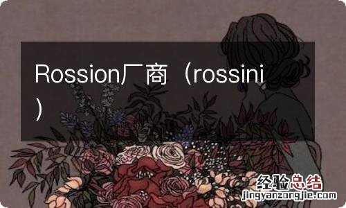 rossini Rossion厂商