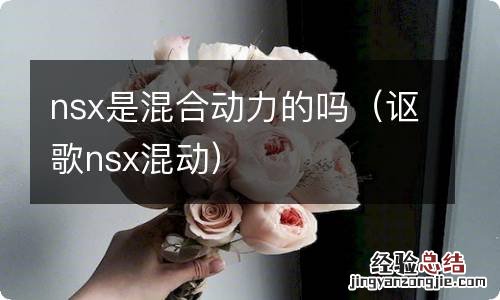 讴歌nsx混动 nsx是混合动力的吗