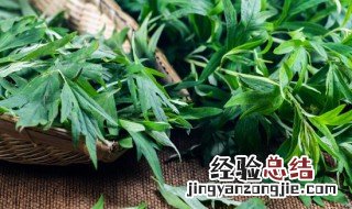 艾草为什么可以驱蚊 艾草为什么能驱蚊