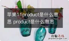 苹果11product是什么意思 product是什么意思