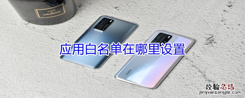 应用白名单在哪里设置