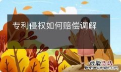 专利侵权如何赔偿调解