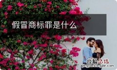 假冒商标罪是什么