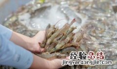 氰戊菊酯迷虾入笼方法