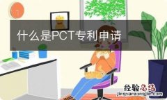 什么是PCT专利申请