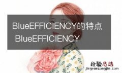 BlueEFFICIENCY的特点 BlueEFFICIENCY