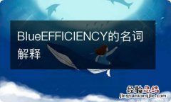 BlueEFFICIENCY的名词解释