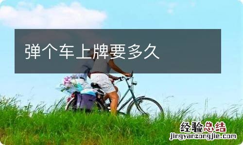 弹个车上牌要多久
