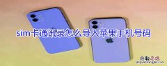 sim卡通讯录怎么导入iPhone手机号码