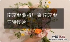 南京菲亚特厂商 南京菲亚特图片