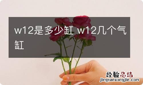 w12是多少缸 w12几个气缸