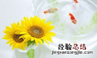 为啥鱼死了会浮起来 为什么鱼死了会浮起来