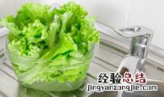 生菜种子催芽方法 生菜种子催芽方法视频