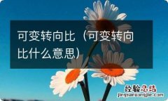 可变转向比什么意思 可变转向比