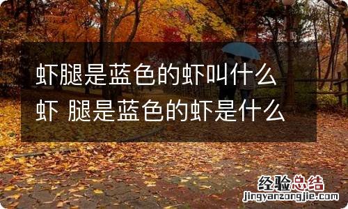 虾腿是蓝色的虾叫什么虾 腿是蓝色的虾是什么虾