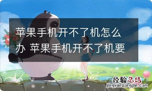 苹果手机开不了机怎么办 苹果手机开不了机要怎么办