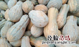 蜜本南瓜怎么挑选 蜜本南瓜什么样品种最好