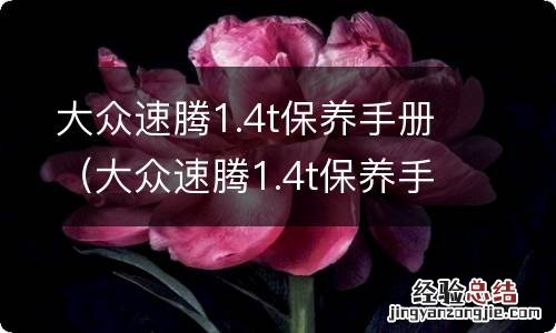 大众速腾1.4t保养手册上说喷油嘴需要清洗吗 大众速腾1.4t保养手册