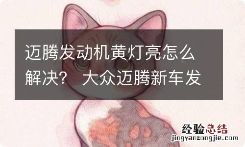 迈腾发动机黄灯亮怎么解决？ 大众迈腾新车发动机亮黄灯