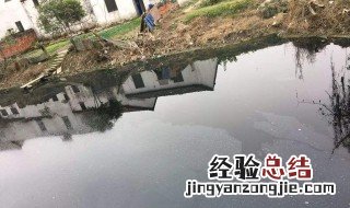 水质变黑如何处理方法视频 水质变黑如何处理方法