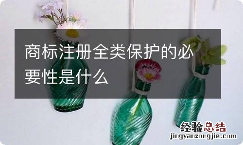 商标注册全类保护的必要性是什么